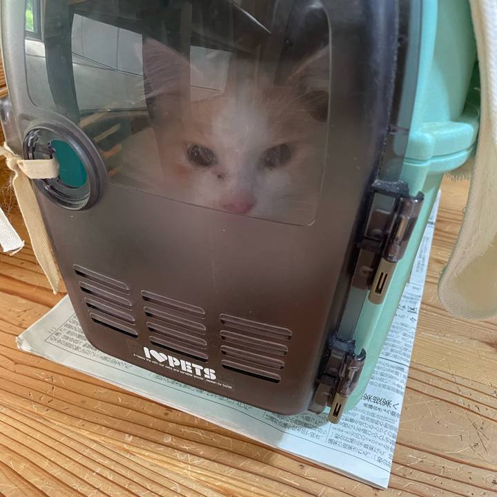 66622132 b25c 4f92 a5f3 f6043ae1891a 1655420457825