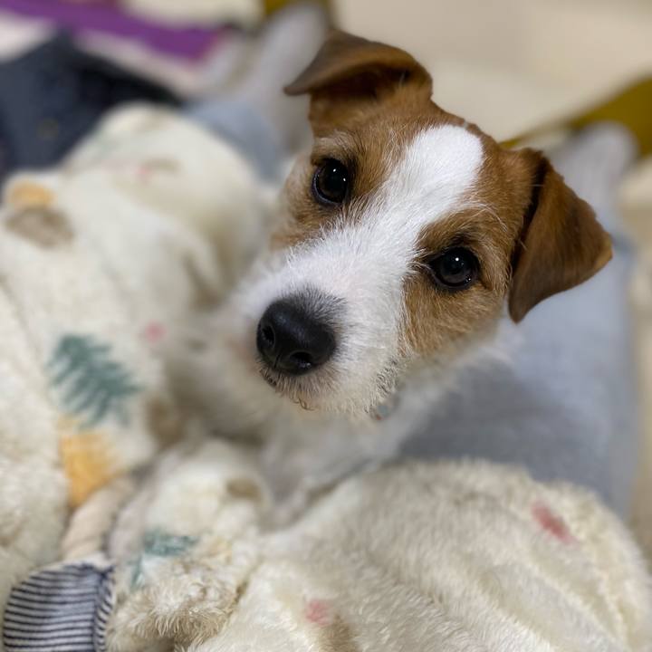 6662341e db54 4d0a 8254 8a4946bbc3b0 1677069702241