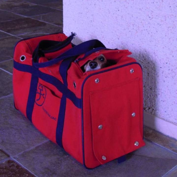 66623d0f c7e0 4736 9c5b dfbb024ade89 1575311135537