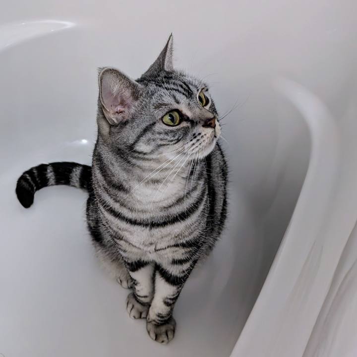 66625a22 fbbc 4d08 823f fd0ae738c2b8 1732447702539