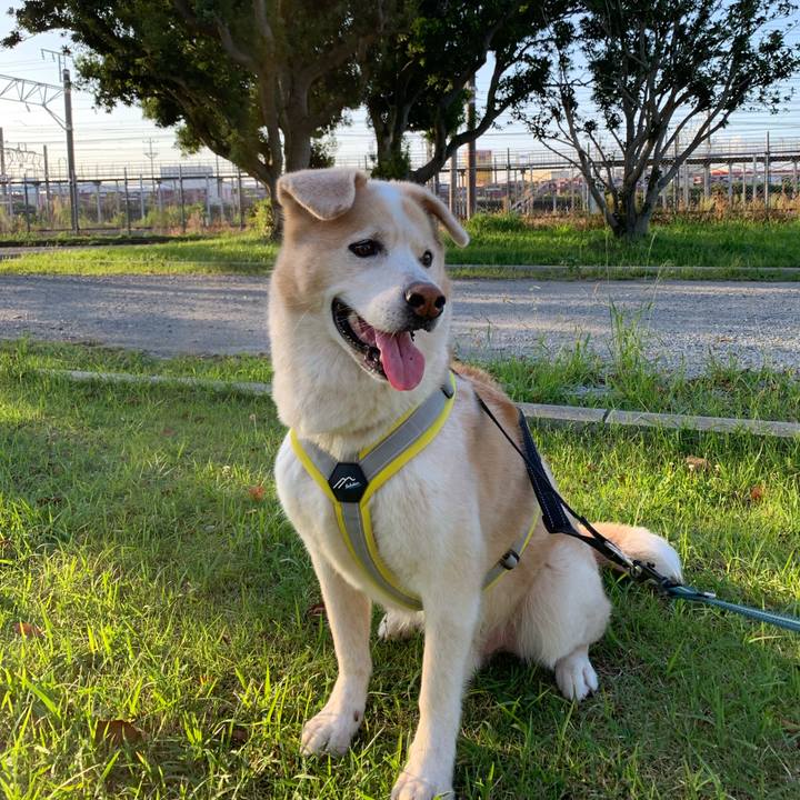 66629101 f79a 4900 a579 efbe89243b0d 1633301989933