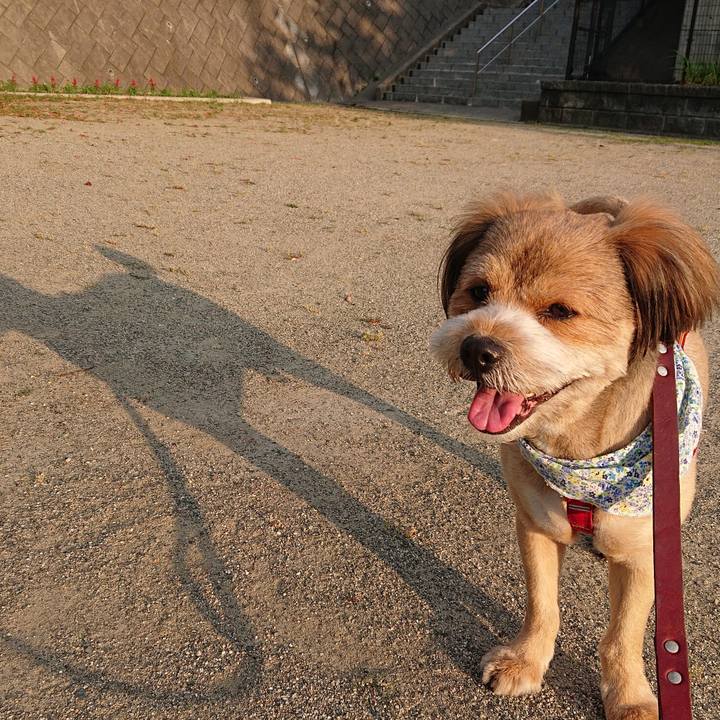 6662979c d9c1 4120 a097 dff014a102b2 1560419269043