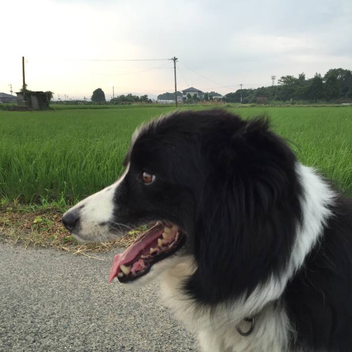 66629d0c 4dc7 4fb1 b3f5 878237b86c55 1532638078629