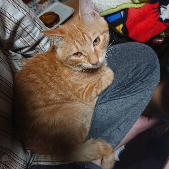 6662bd2c a53c 45b4 a8a7 177698a07e5d 1636283948827