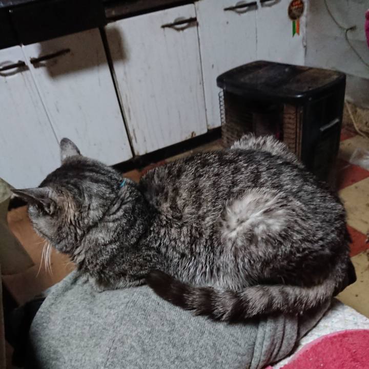 6662c9d4 0ab3 4b6b a7ec cd296c507a8e 1576877061929