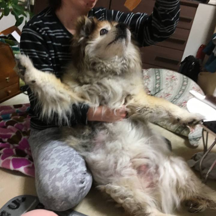 66630484 a9df 46d8 a88f 91b96f88765b 1616990995146