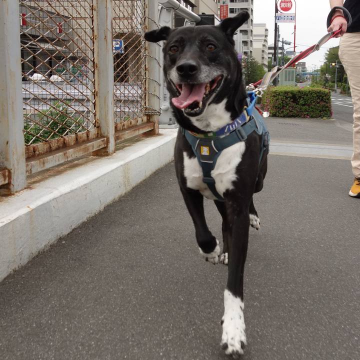 66633818 a100 4c2f aa50 60c51cbf99bb 1713662273549