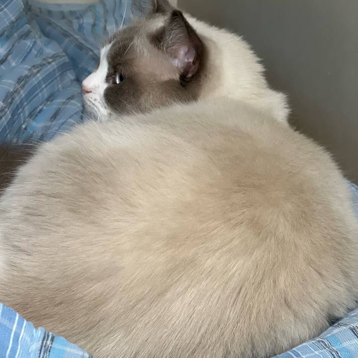 66633831 ac7d 4ed0 bcd4 deb68271fea0 1665027451727