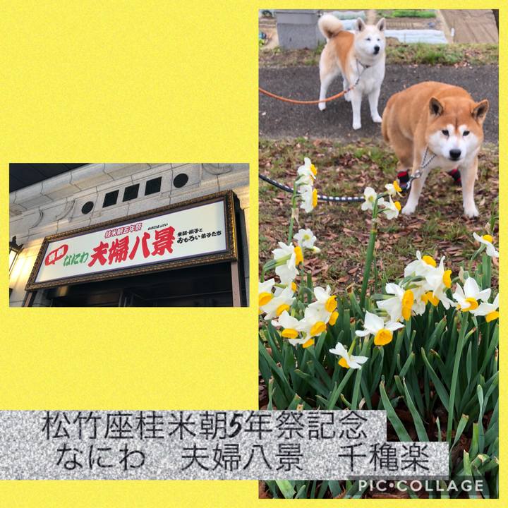 666347c0 2cbc 4501 a625 f4579ebe4c04 1581847870139