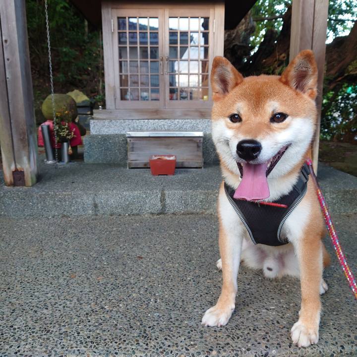 666353a3 68c6 49e3 826d f933de6c8e50 1757718456641