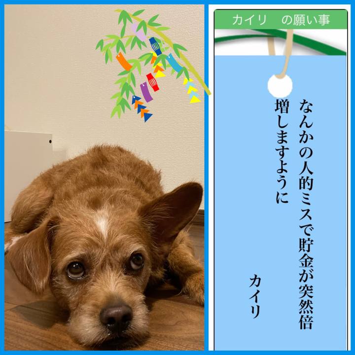 66639249 bf1f 412d 8a51 20014de561c6 1625572387511