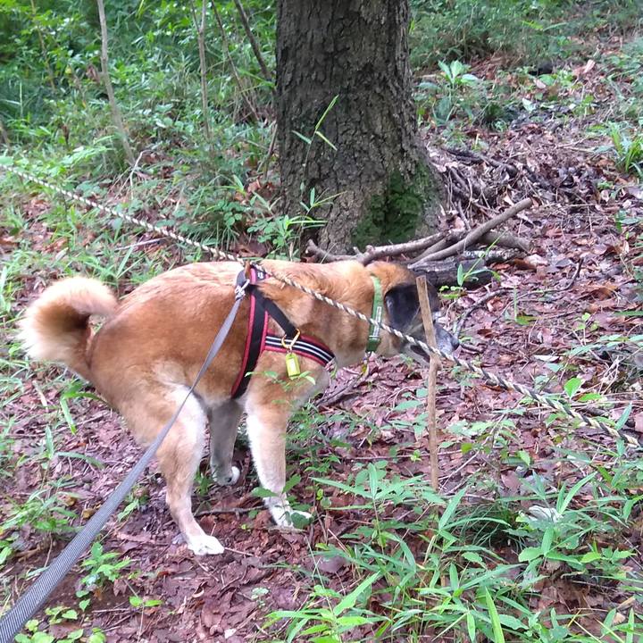 6663925a 3f26 4c7b a9dc d15ca1b941dd 1561420882217