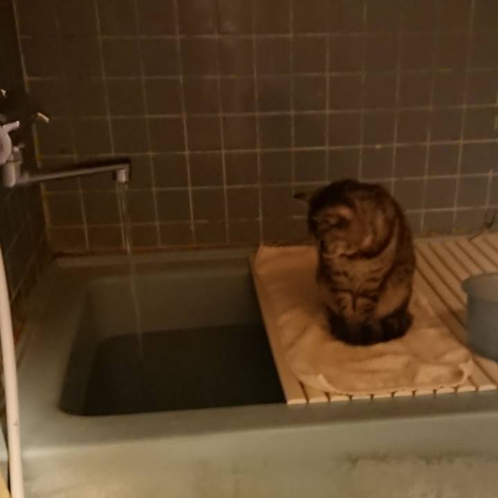 66639b10 5167 4926 a13a 456d086b4ec4 1577608749733