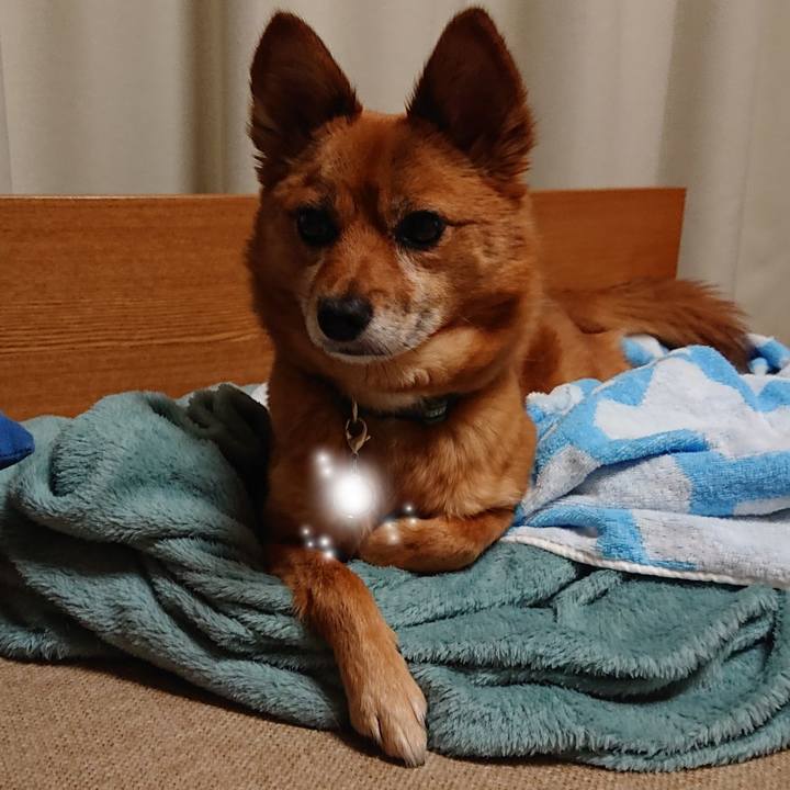 6663e3a1 0f9f 4c36 afbc 5f28f981f045 1584540130495