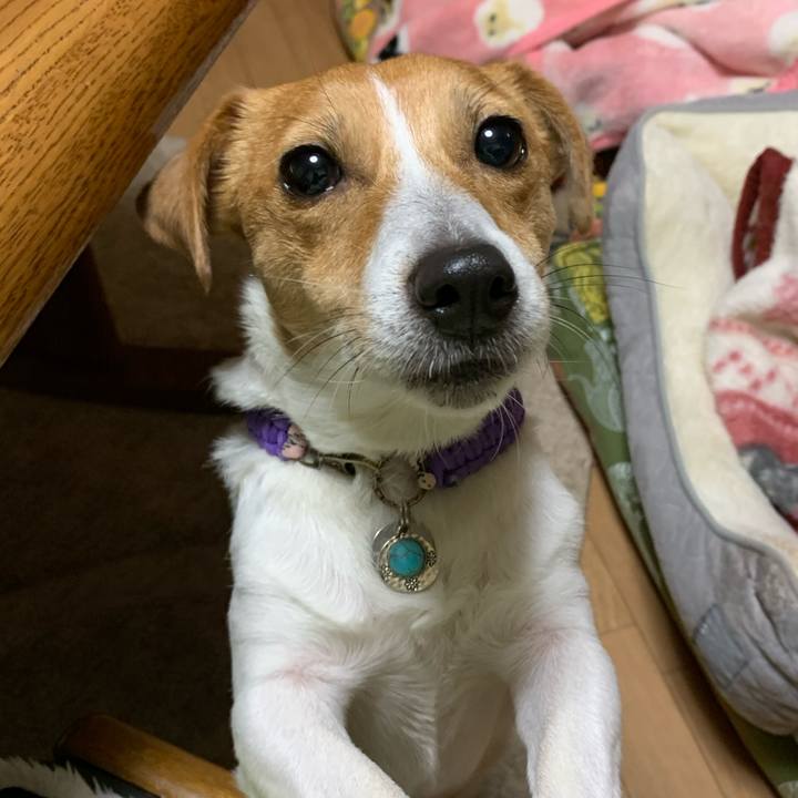 6663fbf5 7335 4cf2 9358 fe0b91a743ab 1577442422082