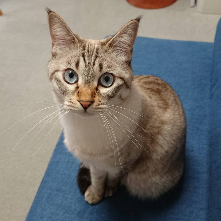 6664157a cc25 4272 b2f0 bda790ed2c6b 1539412555313