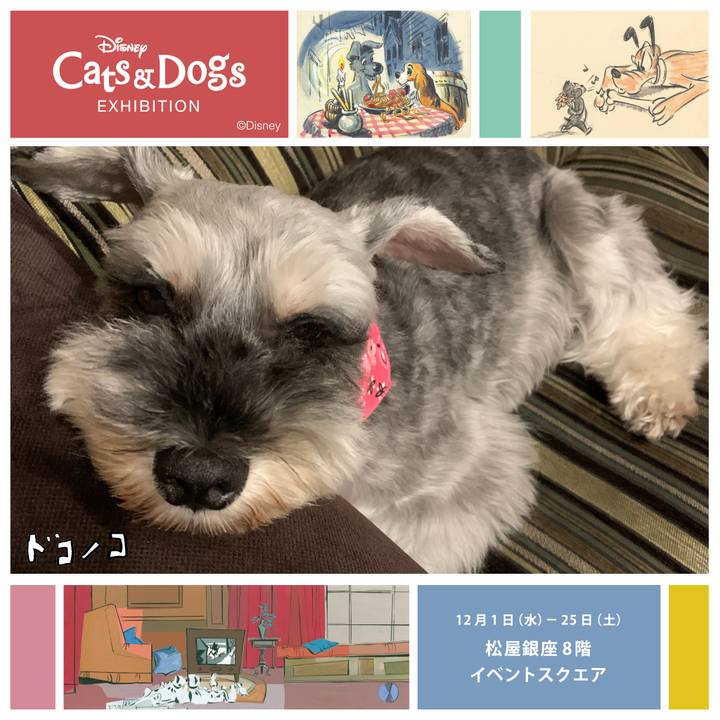 66641ca7 1f16 48af 8d27 47cdae6b103d 1638522067571