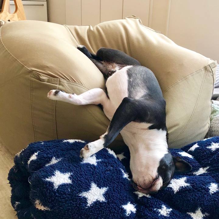 66643bc1 ffdb 427d 9fe8 d99d368fa8ec 1533282981621