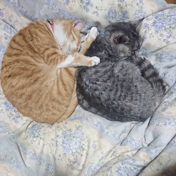 66645146 e8a9 4528 b683 e9fc05d75b73 1575550649232