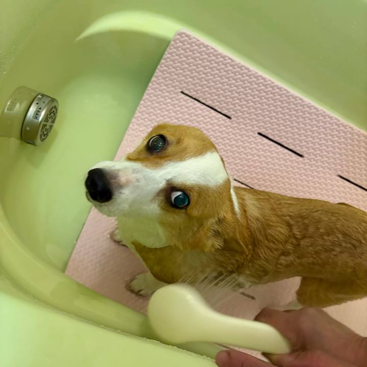 66646220 bcaf 4fc1 b6df 3ffe369b9810 1772109215957