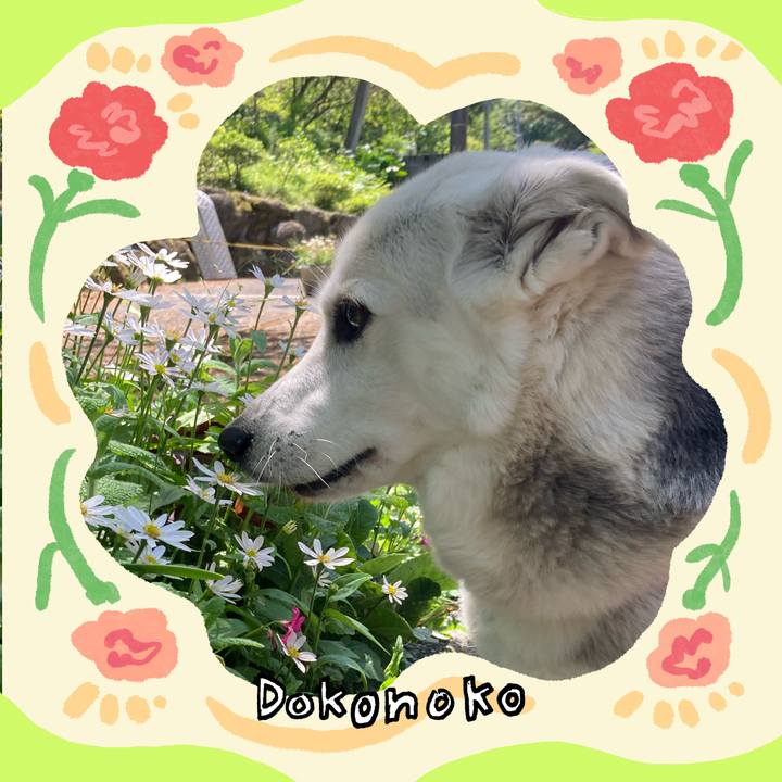 6664657d 4275 436d 8456 56d7b78af93a 1714880666201