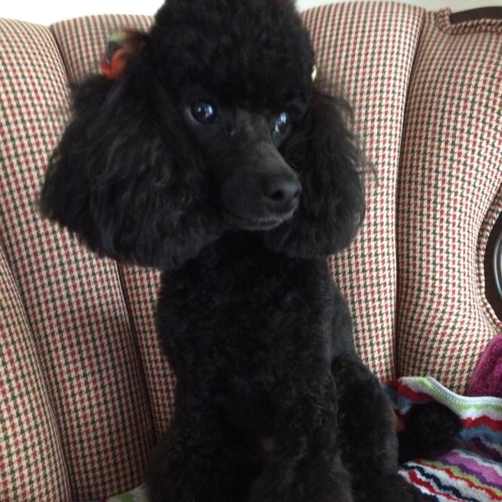 66647c3b d018 4abd 8368 93bdee270d82 1539146169080