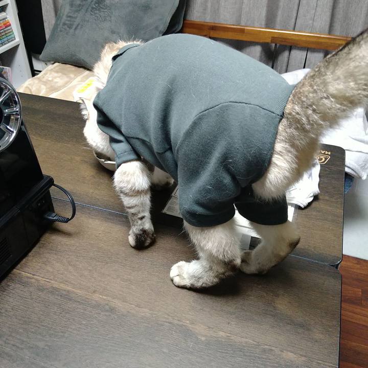 66648d33 5972 4c6c b653 49b89ddaec73 1736772107003