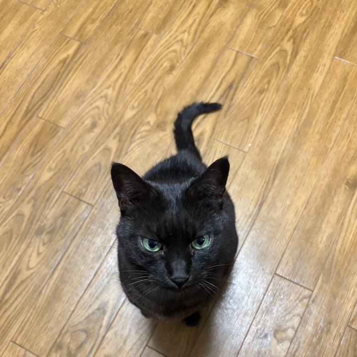 6664c6f4 c827 4366 a160 ebbc09d4f124 1761971258509