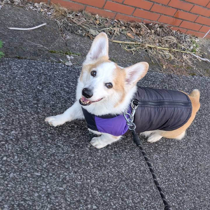 6664c936 70e9 42bf 8620 4cdd2f5f0fde 1763698249569