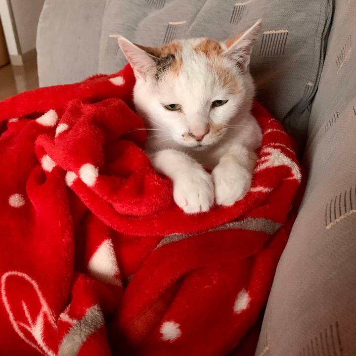 66657180 5698 41e5 85c9 be859164e212 1587347201198