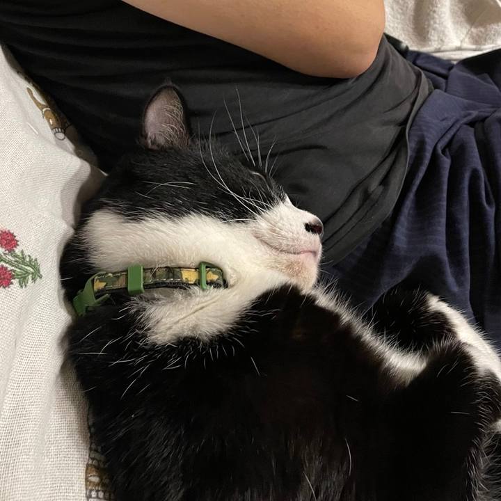 666582f4 d312 4335 a4ff ebbc41fb6161 1693742182239