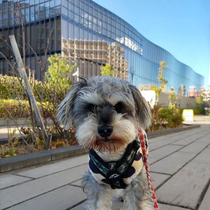 6665e89e 7ce0 4ff6 a888 9767369e0f7b 1703573590329