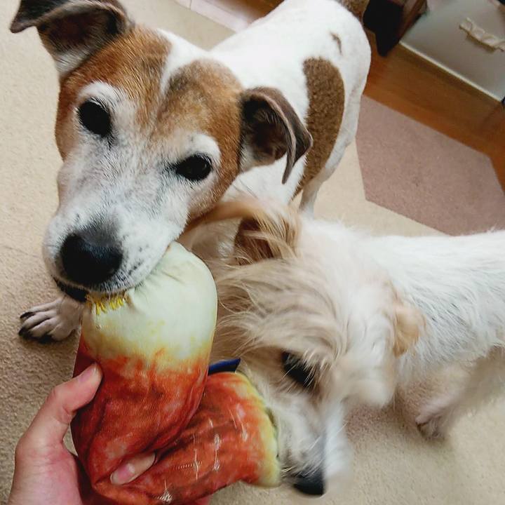 66660479 b342 41c1 9abd b8e80b86ff10 1537697506392