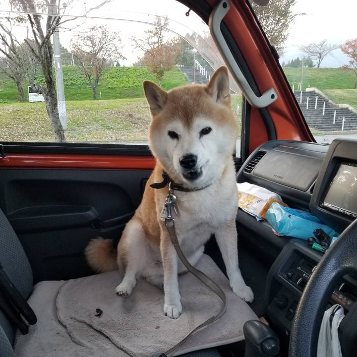 6666051c 48a0 427d b3a9 6269cbfdf742 1698909961593