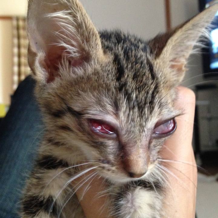 66660a97 aa1b 4de3 805a 9c7f9ad2bc3e 1522485532875