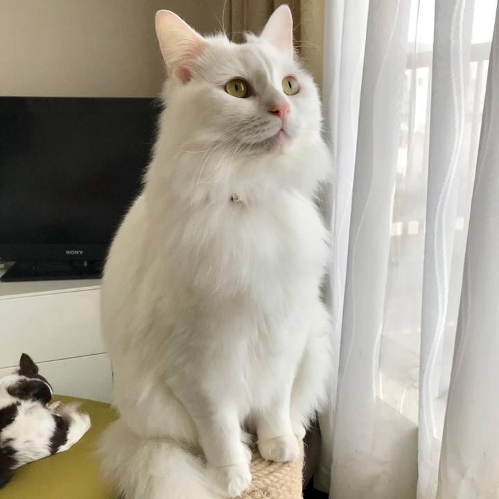 66660c93 eb01 42b2 953e d3697a3e6a11 1546948017598