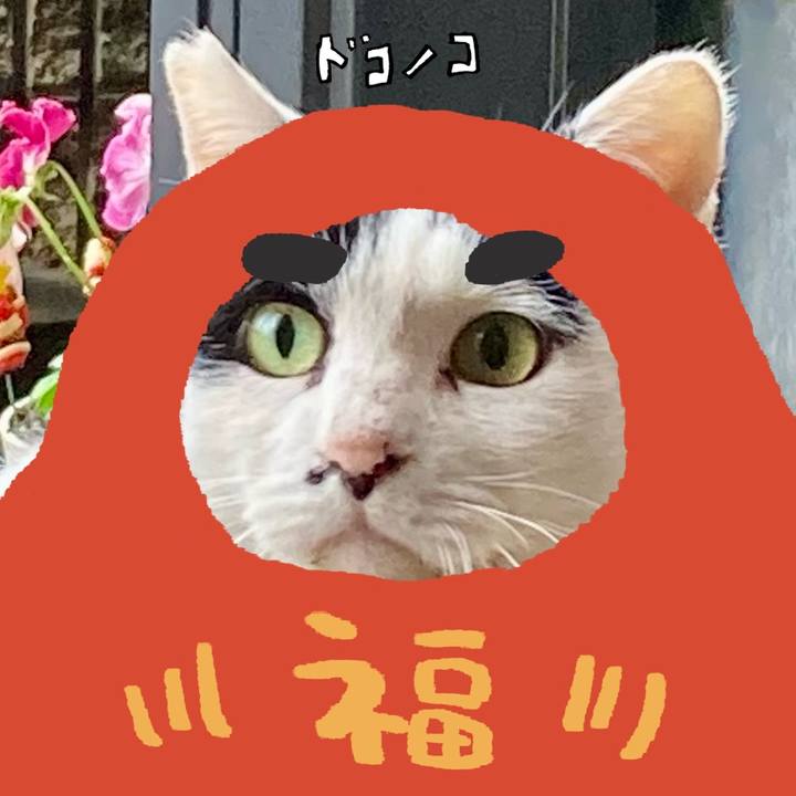 6666420c 9586 45c8 bf36 0ba8139dcc76 1771819210280