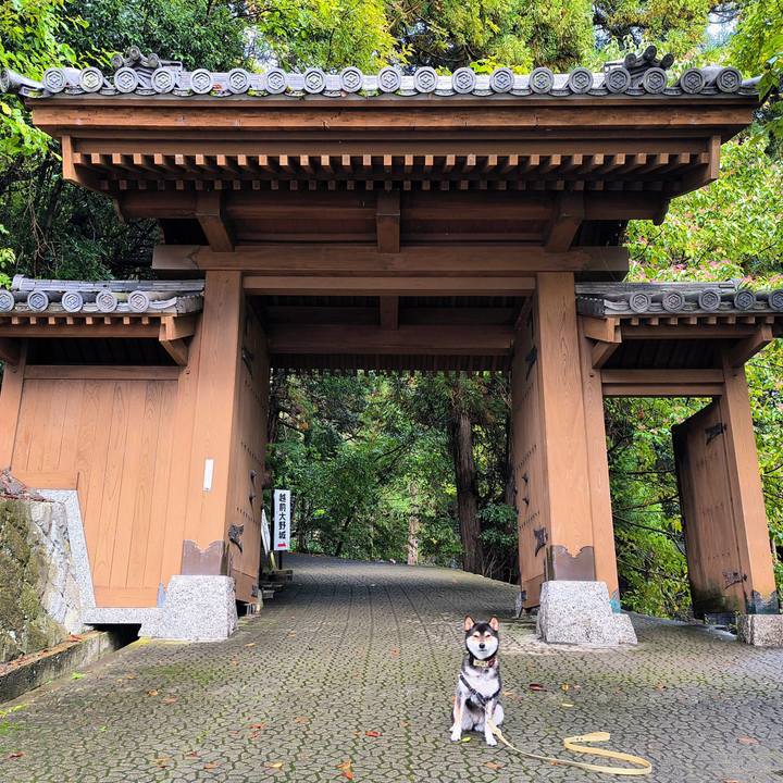 66665478 af87 4850 9bbd dea8dc92dbf3 1761988291579