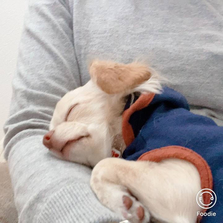 66666419 0f1d 456d 89a9 df626067d51d 1605182983451