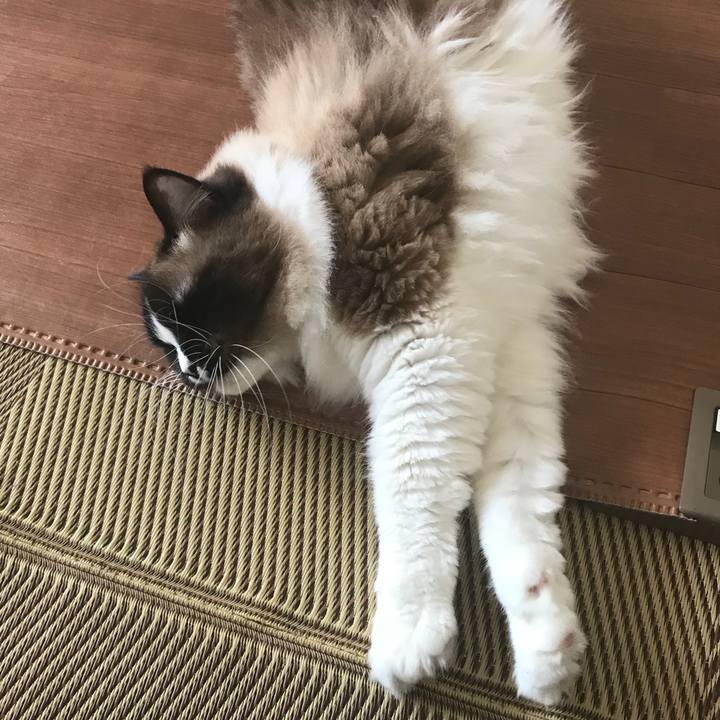 6666700f 3038 4fa0 882c aa83a01ba54c 1521284869939