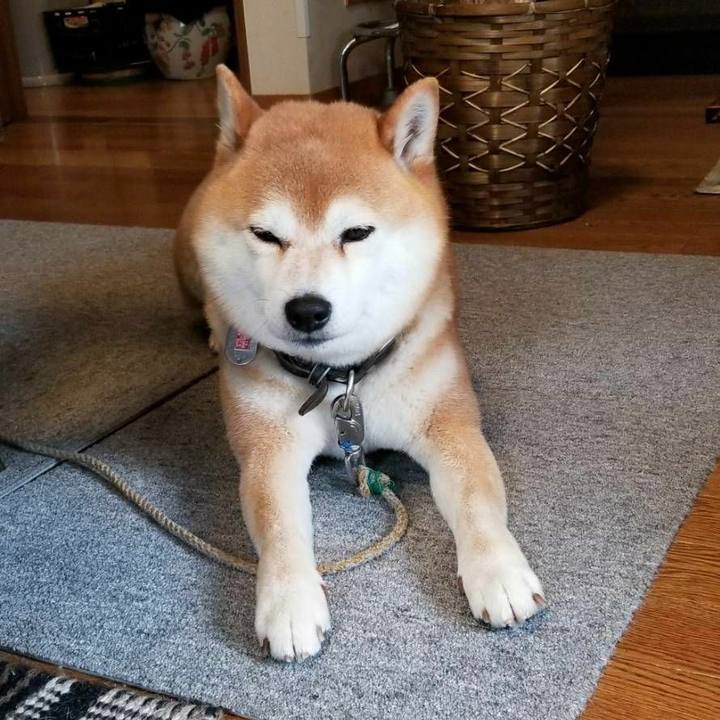 666675ae 859d 4b61 a803 24622ab99ad8 1521281650969