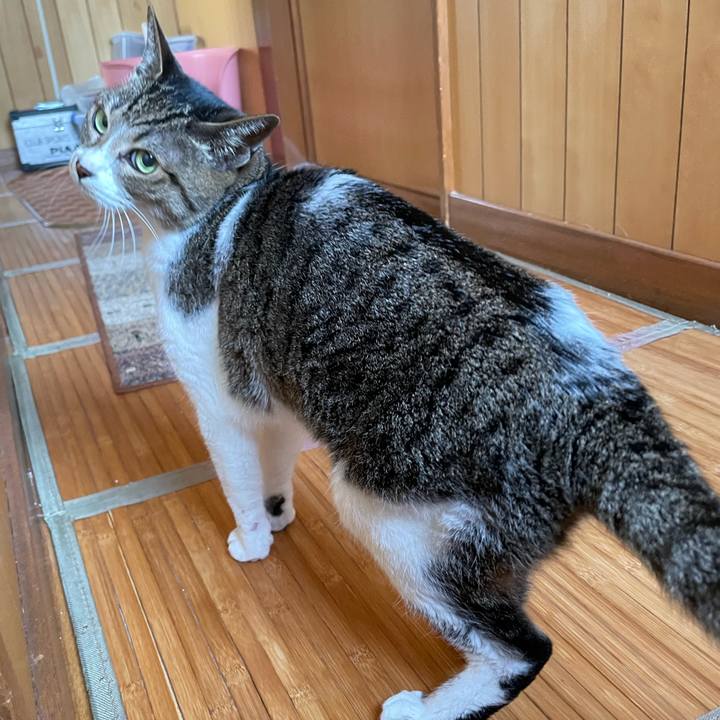 66668e3c b8d4 46c8 98ef 3298e86edf90 1648433996528