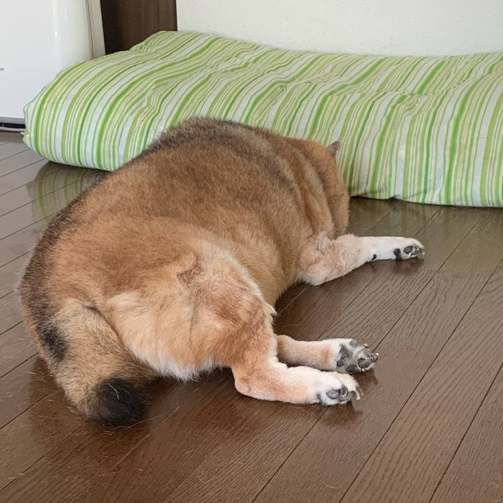 6666c0d8 9589 4f2b ace7 5bf26de2d1eb 1632374028808