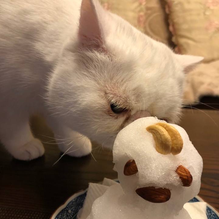 6666c100 1961 4c80 872f 96f7e483e51e 1676030892246