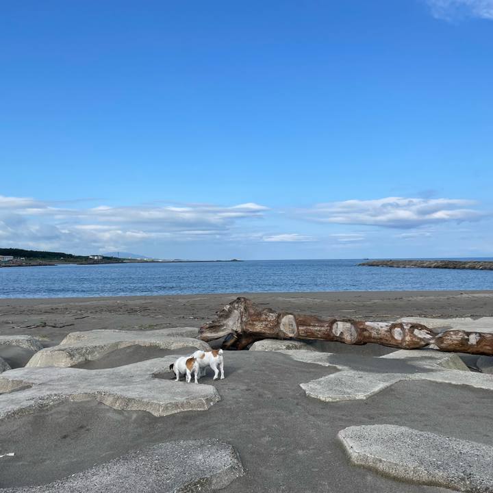 6666d723 d89f 4bc5 a436 b40379e11176 1687994853989