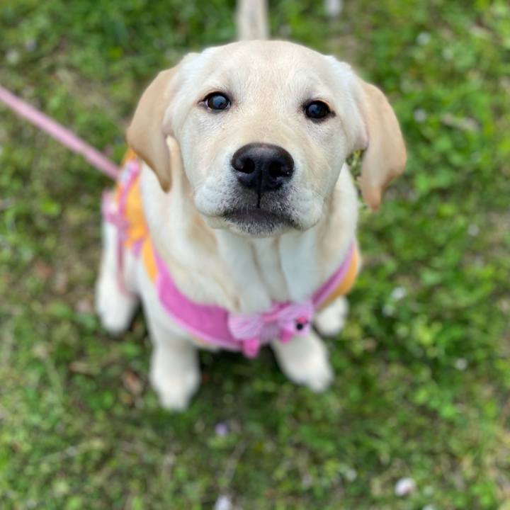 6666db16 a59d 4225 b60a f0669218ceab 1616578974858