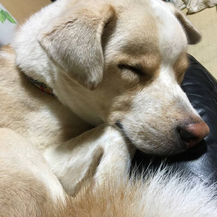 6666f188 16cb 467b 9d9e f08345046fee 1509291124694