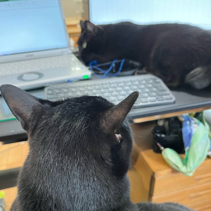 66671532 8196 4f88 8800 7a4763592257 1651051180127