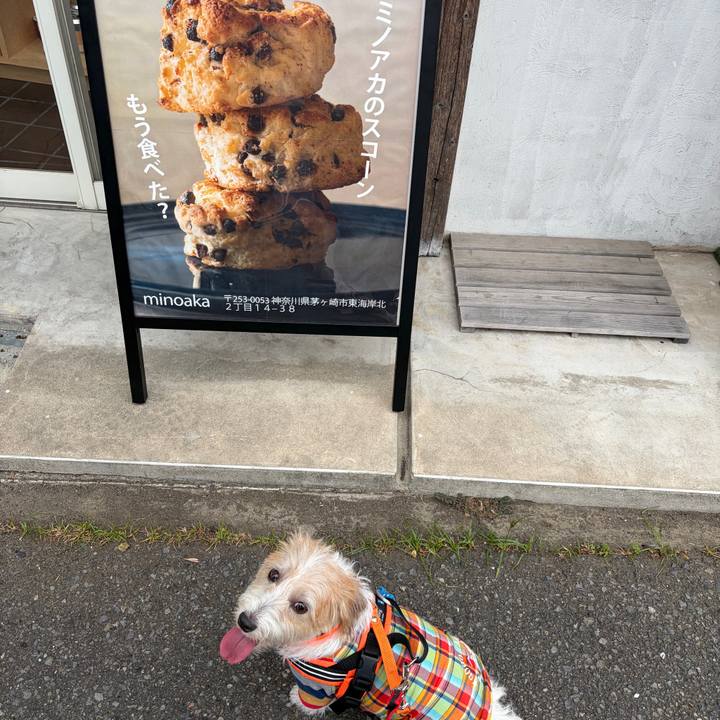 66672e51 d5ba 427d b02b a283870dbbf3 1758955557305