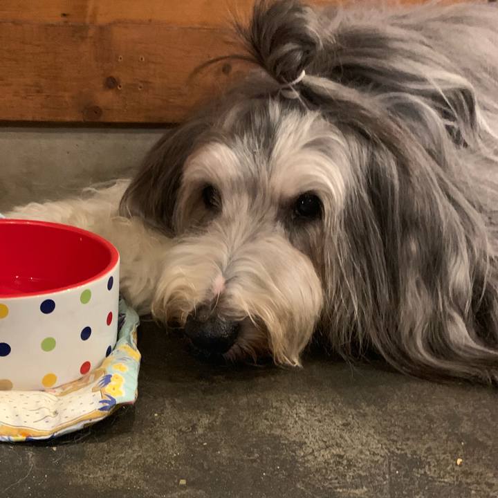 666748b8 c975 4a67 8b85 84b91389c53b 1570438528524